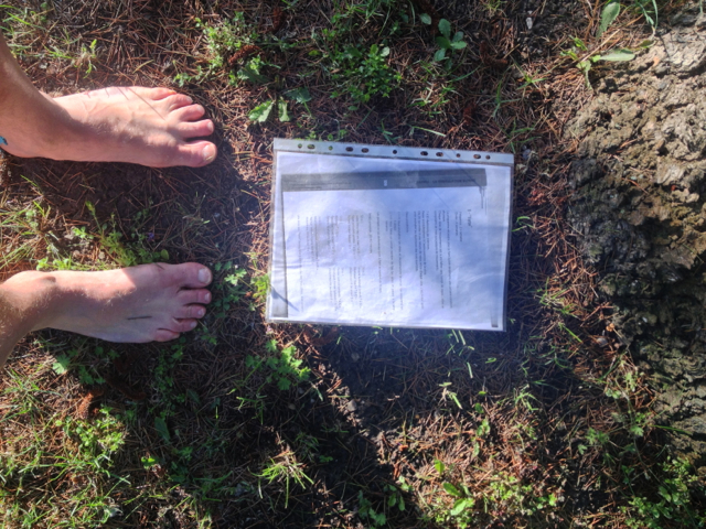 Pieds nus, évidemment ! Histoire d'être bien à la masse :-)