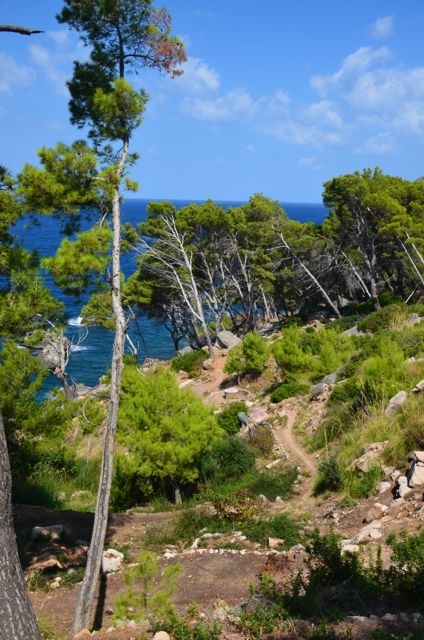 Roulez petit bolide !