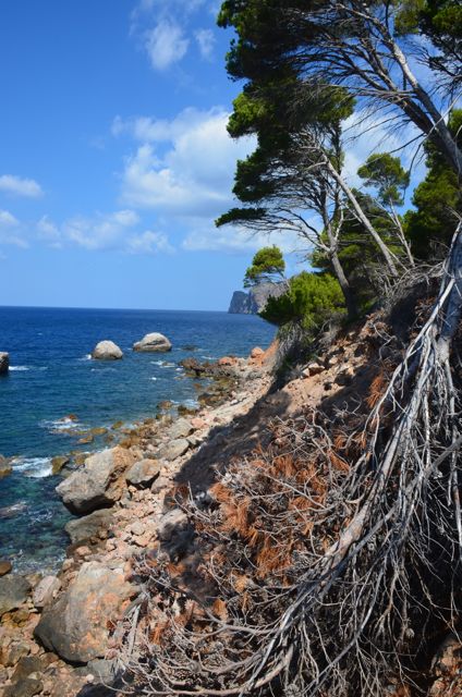 Le mort et le vivant ...