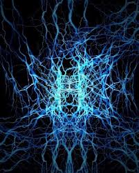 Un morceau de système nerveux ...