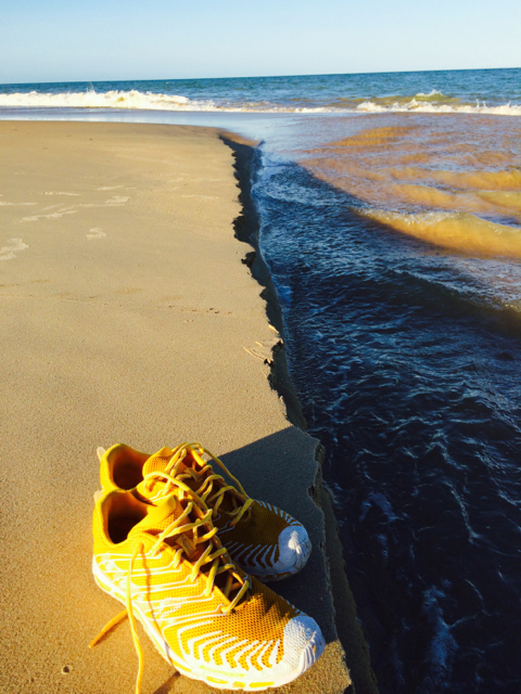 Dévoreuses de sable ...
