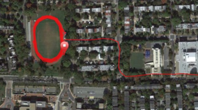 Moi je dis il ne tourne pas rond, ce type !