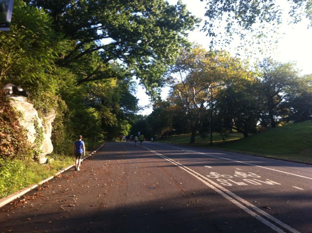 Central Park "classic"