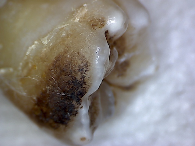 c'est bien noir tout ça ! 